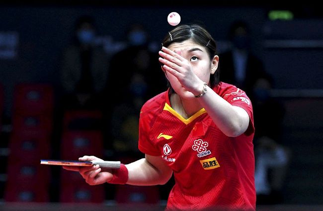 会低估任何 会低估任何