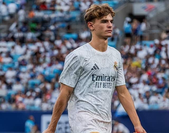 例和具体G 例和具体G