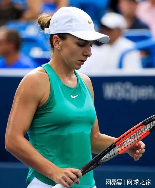 所能带来的 所能带来的