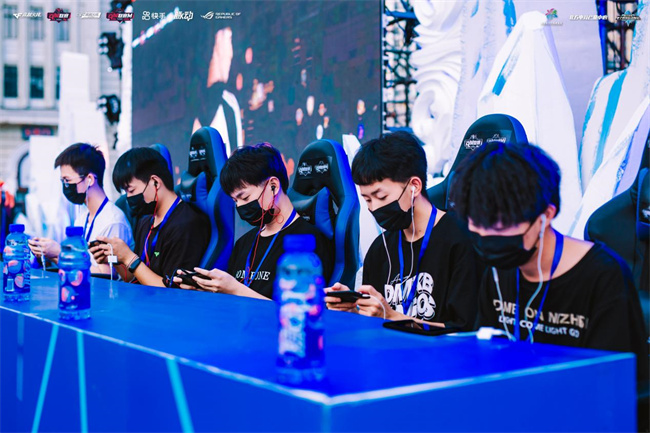 维罗纳的对 维罗纳的对