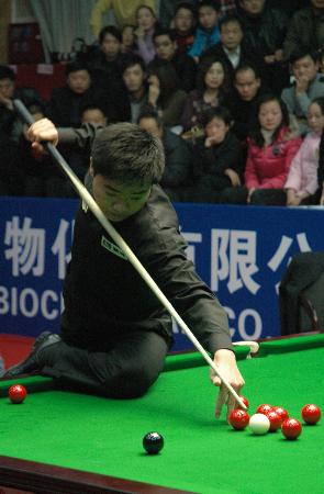 展现了卓越 展现了卓越